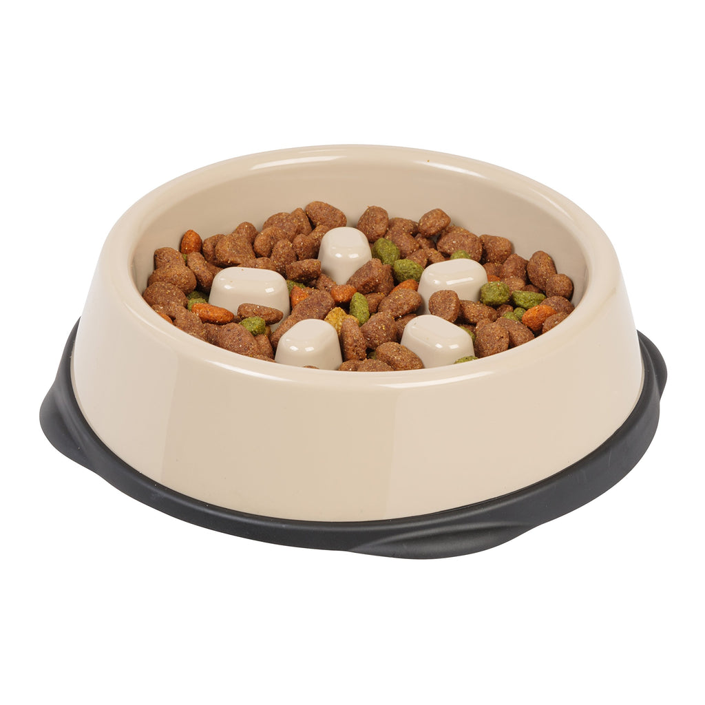 IRIS USA Healthy Eating Slow Feeder Bowl for Pets